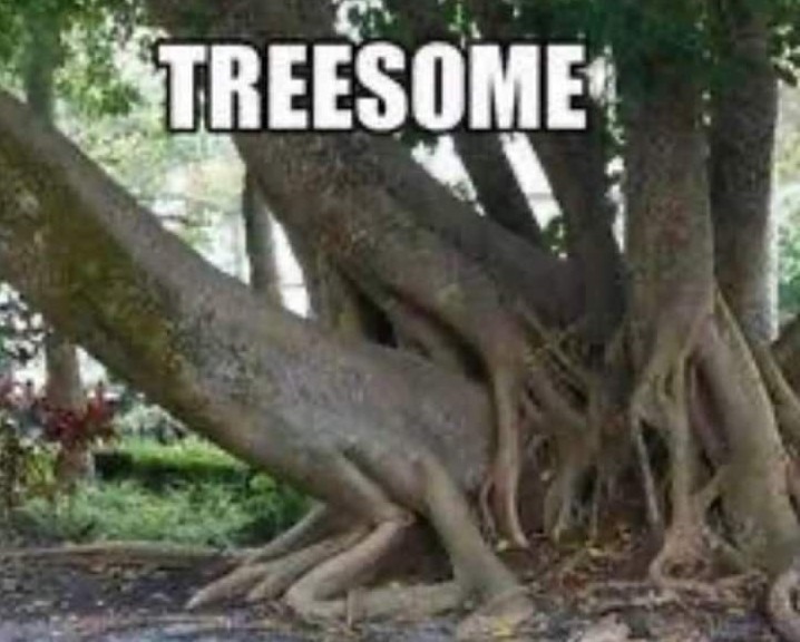 Lucky trees - meme