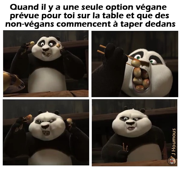 Seule option - meme