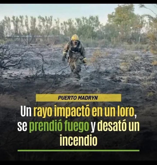 Noticia más locas del día - meme