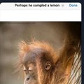 commented item thumbnail