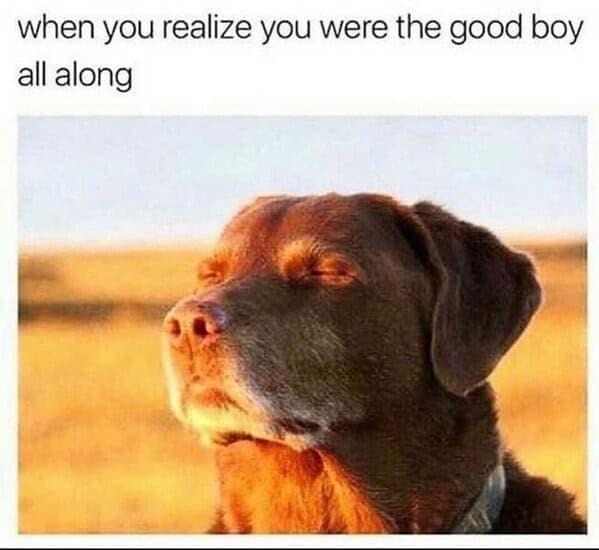 The real good boy was you all along - meme