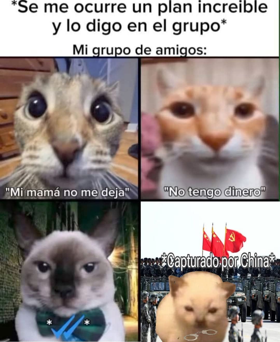 Coincidencia no lo creo - meme