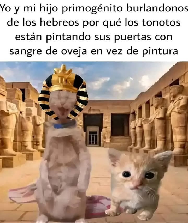 Momazos biblicos - meme