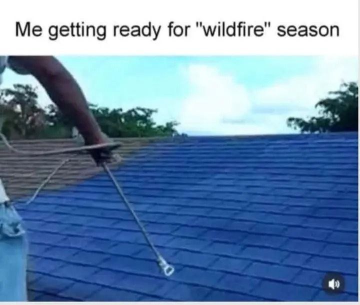 Prepping for wildfire season like it's a fashion event - meme