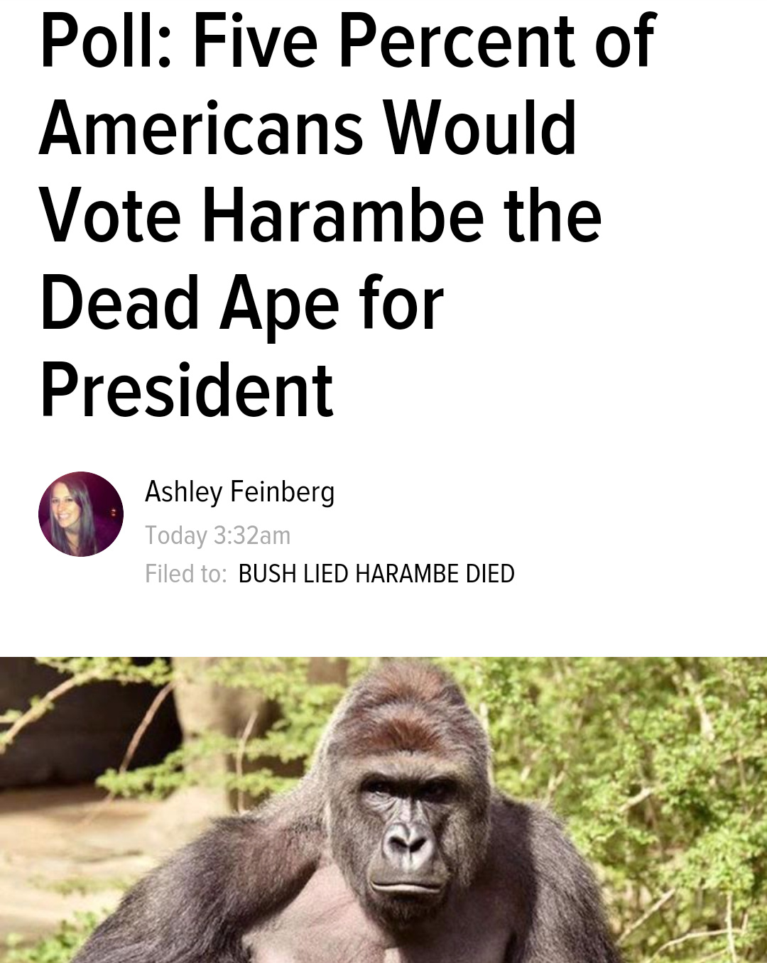 Harambe lives on in our hearts - meme