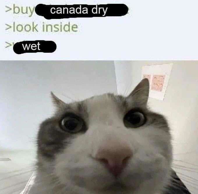 Canada Wet - meme