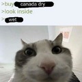 Canada Wet