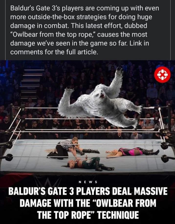 Baldur's gate 3 - meme