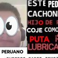 La cara es de un Pedófilo Peruano de YT xdddd