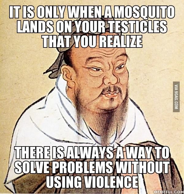 Such wisdom... - meme