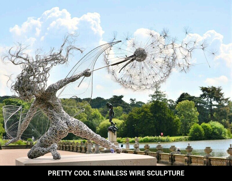 Stainless Wire Sculpture - meme