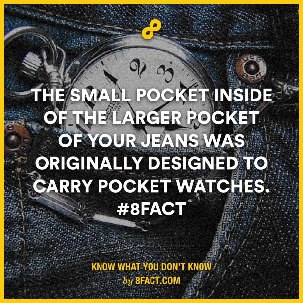 jeans small pocket - meme