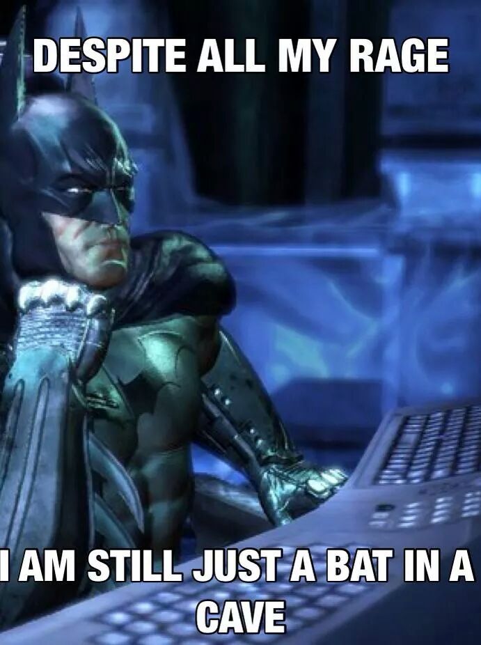 bat in cave - meme