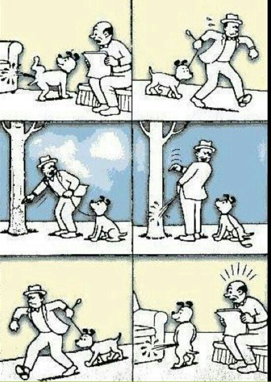 cachorro inteligente - meme