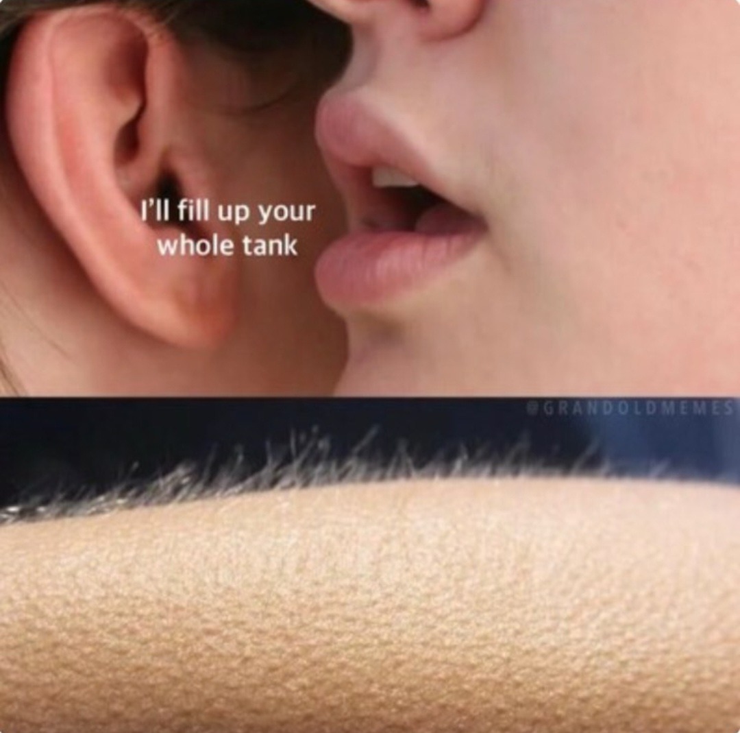 What size tank? - meme