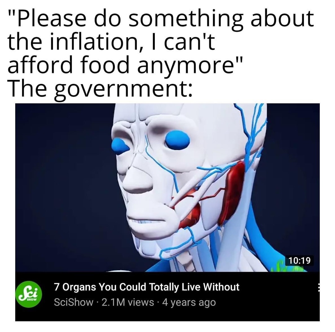 Fuck the government - meme