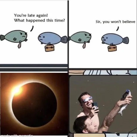 Fish watching the solar eclipse but with protection - meme