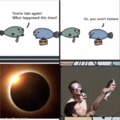 Fish watching the solar eclipse but with protection