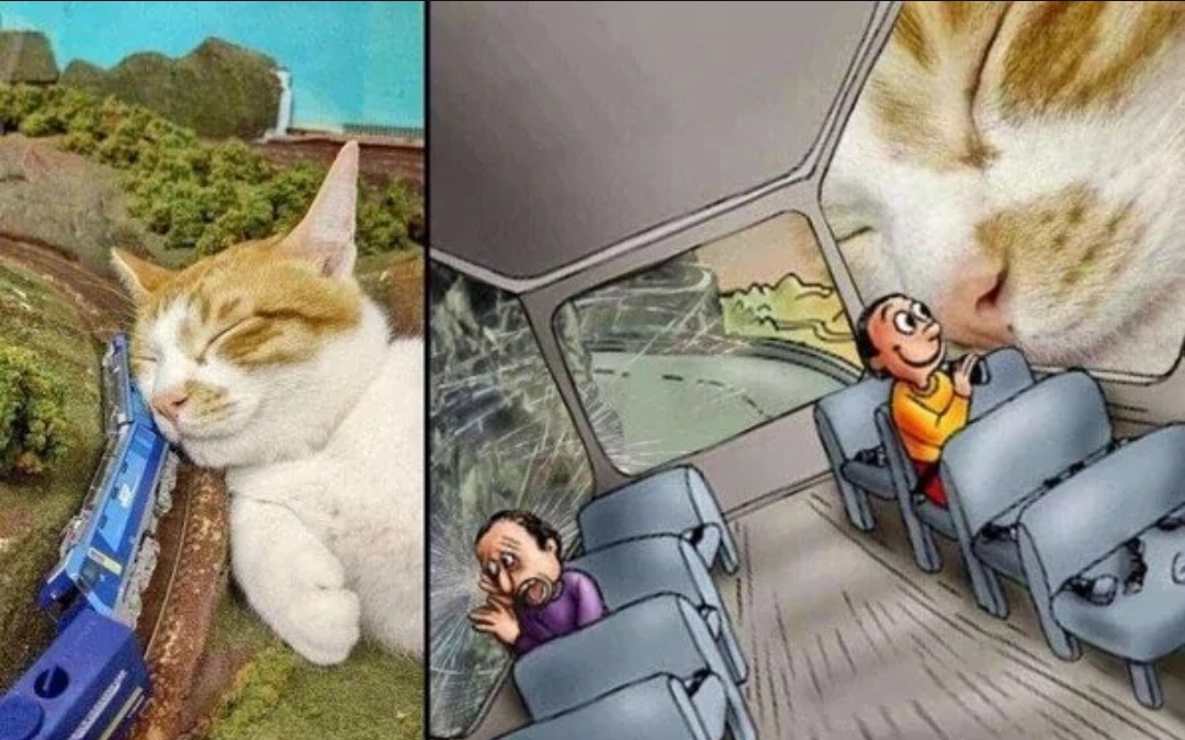 gatitooooo - meme