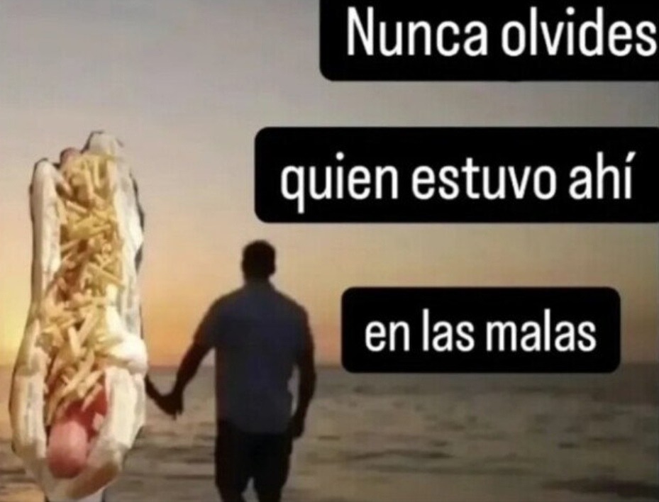 nunca olvides quién estuvo ahí en las malas (los memes)