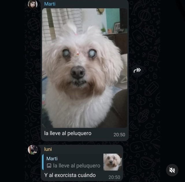 marti al peluquero exorcista nivel peli de terror - meme