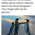 Pingouin FighterZ