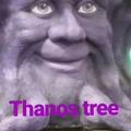 Thanos tree