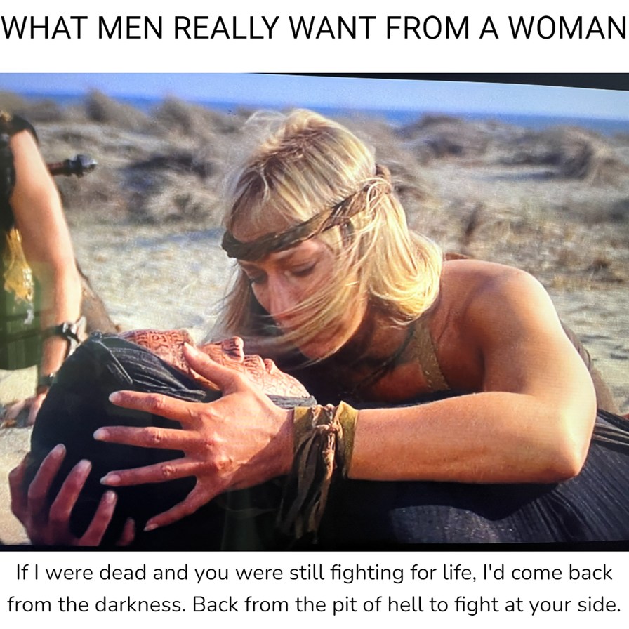 What men really want - meme