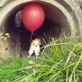 We all Bork down here..