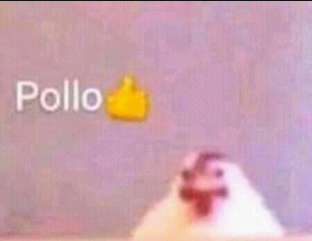 Pollo - meme