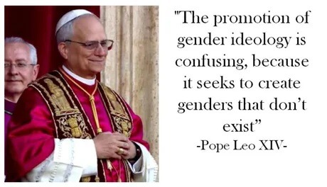 He protected pervert priests, but at least he isn't completely retarded - meme