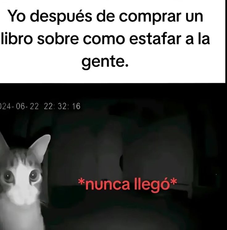 y porque - meme