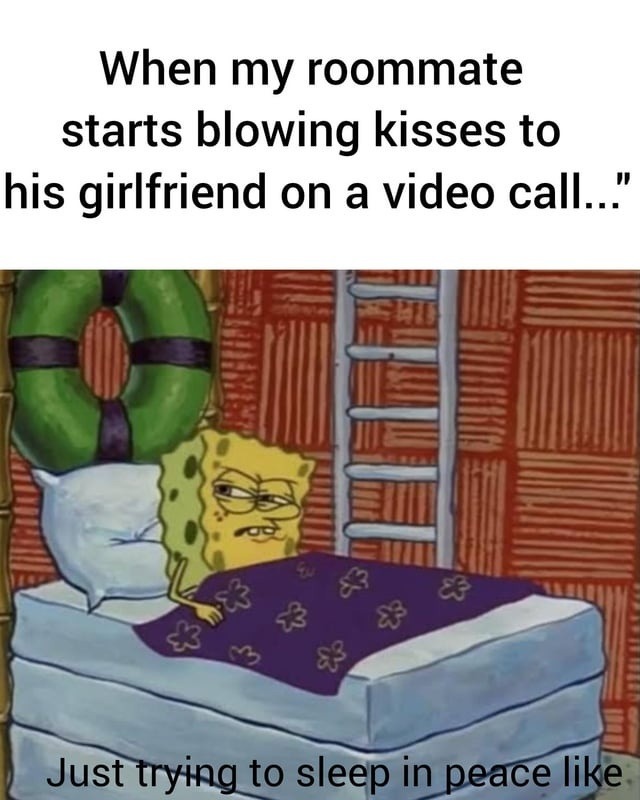 Your roommate's love life vs your REM cycle - meme