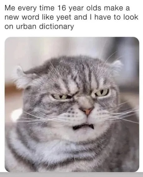 Urban dictionary - meme