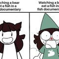 Watching a fish watching a bear watching a bear documentary about fish