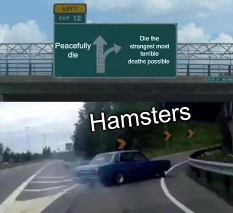 Hamster meme