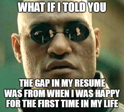 Gap in my resume meme