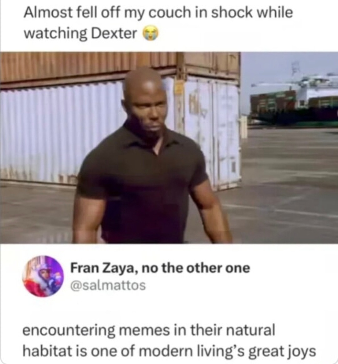Memes in the wild are pure serotonin
