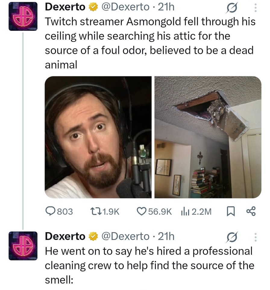 Asmongold fell through his ceiling hunting a dead rat, streamer life - meme