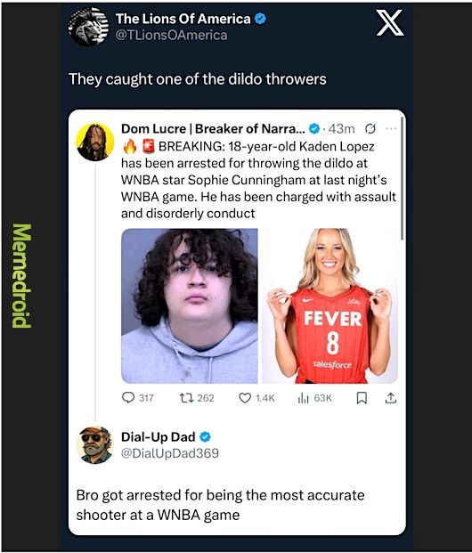 WNBA SHOOTING ACCURACY - meme