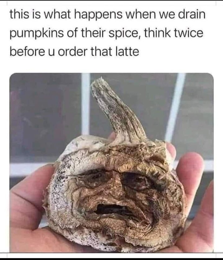 Please, think of the pumpkins - meme