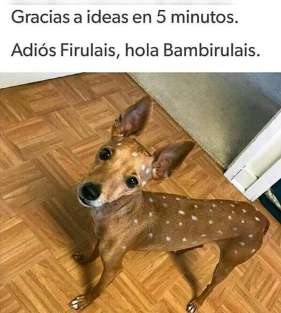 Bambirulais - meme
