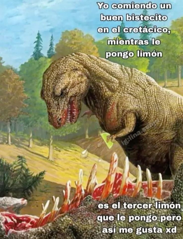 Xq - meme