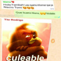 culeable