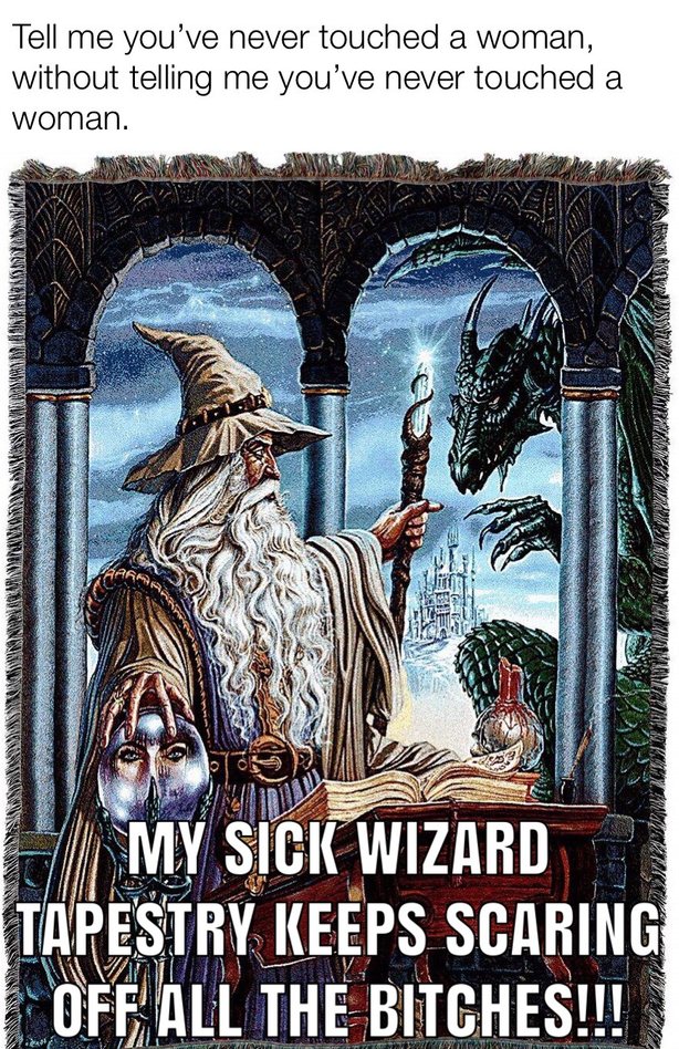 wizards and bitches - meme
