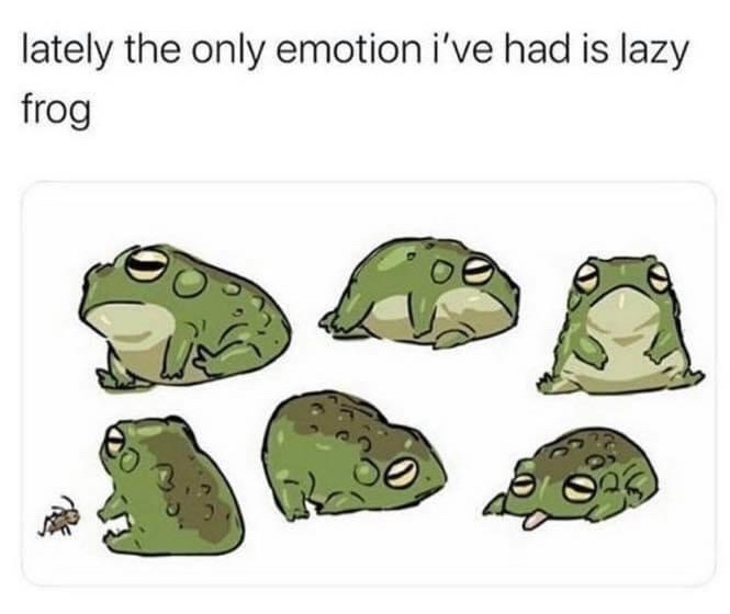 chonky frog - meme