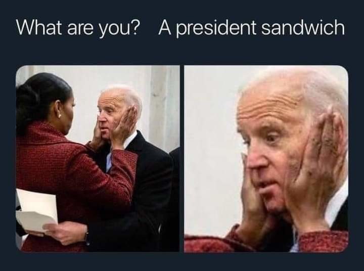 a moldy sandwich - meme