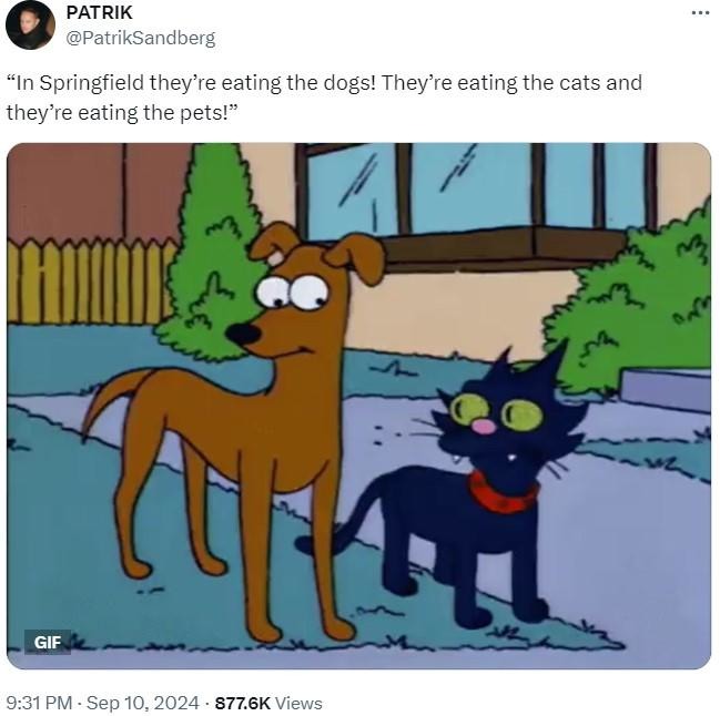 In Springfield thy're eating the pets - meme