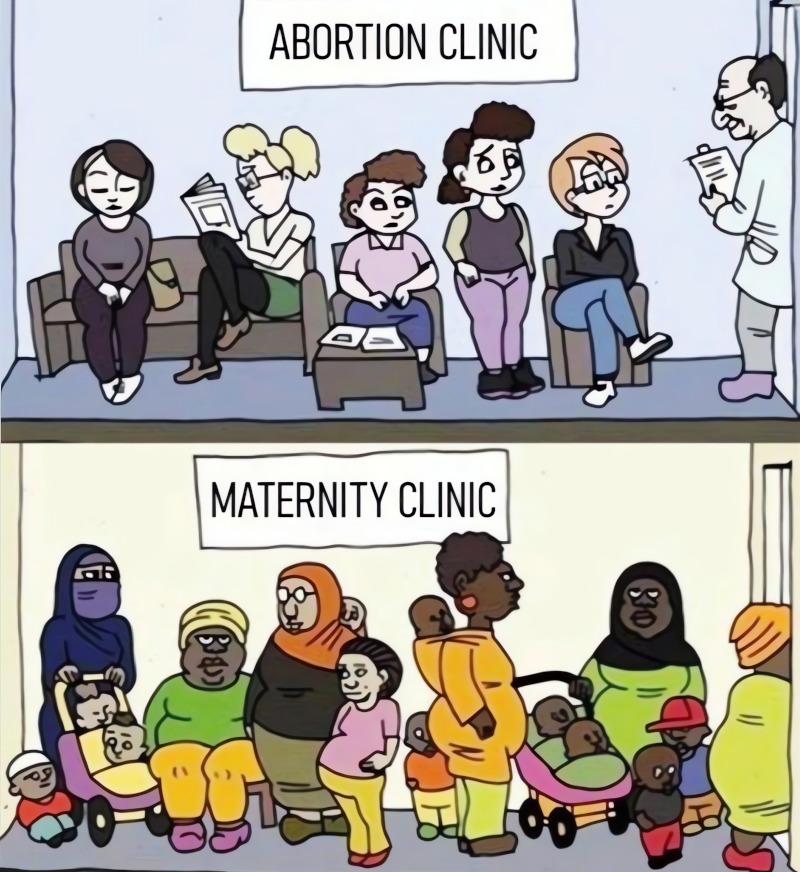 The catastrophe of white women's right to vote - meme