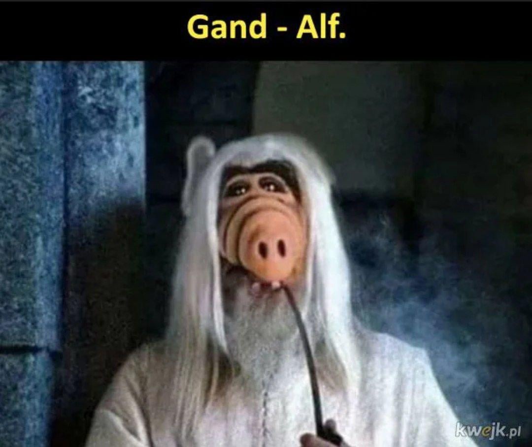 Gand Alf - meme
